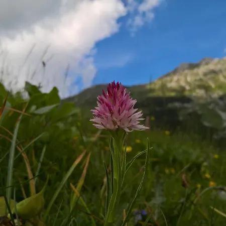 The Village Rest - Gorenjska