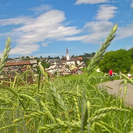 Bed & Breakfast The Village Rest - Gorenjska