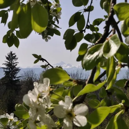 Bed & Breakfast The Village Rest - Gorenjska 3*