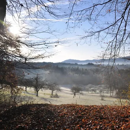 The Village Rest - Gorenjska Bed & Breakfast Brezje