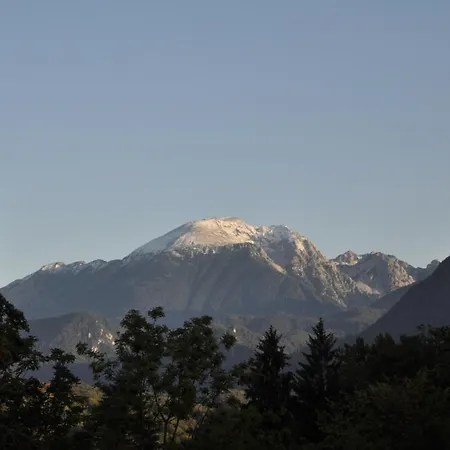 The Village Rest - Gorenjska 3*