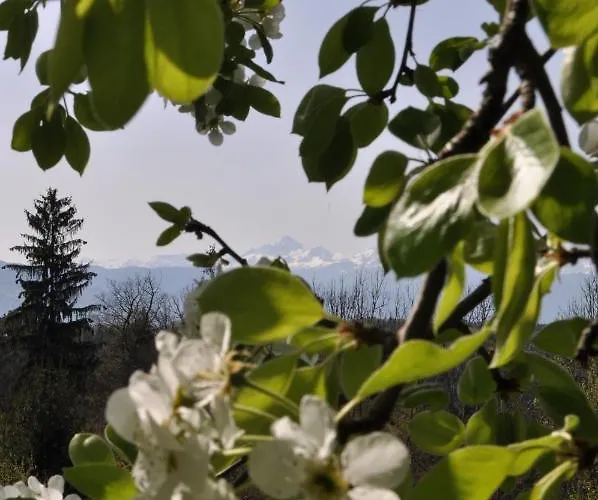 Bed and breakfast The Village Rest - Gorenjska 3*