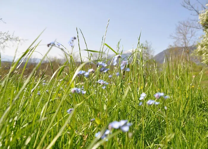 Couette-café The Village Rest - Gorenjska 3*