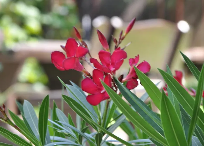 The Village Rest - Gorenjska 3* Brezje